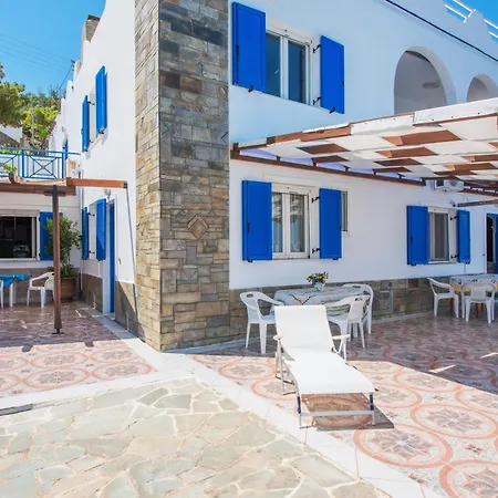 Lotos Κίνι